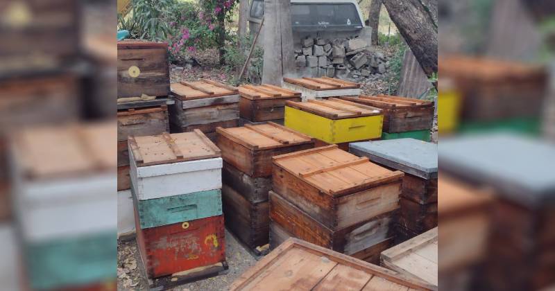 ABEJAS QUIMICOS