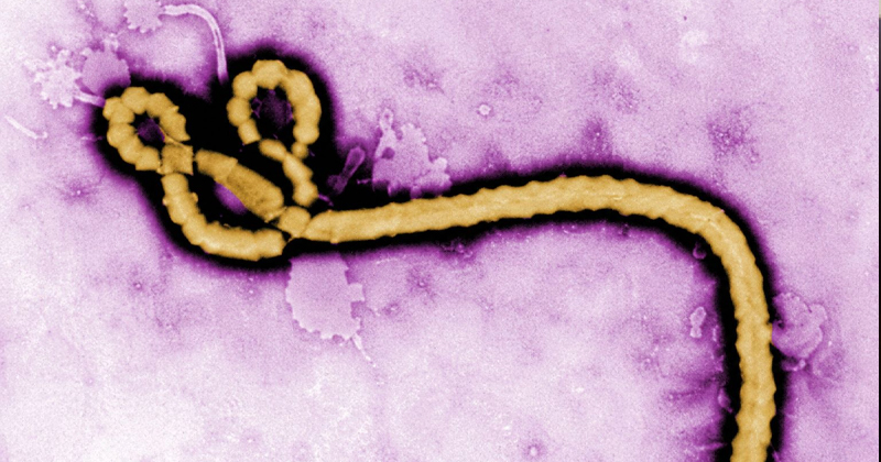 EBOLA-1