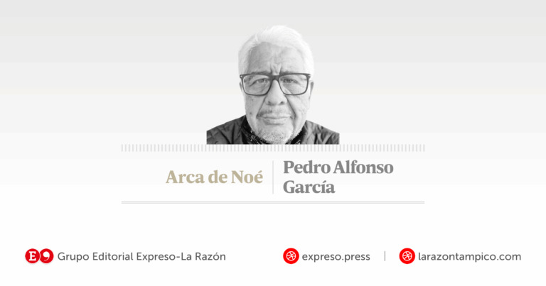 NOTA OPINION