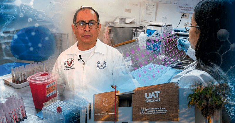 uat-tuberc