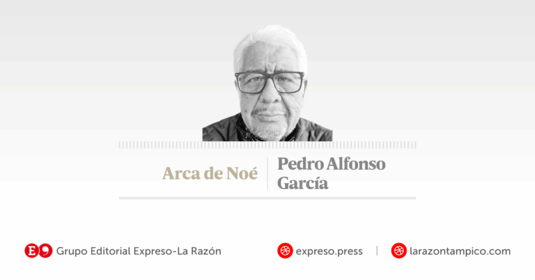 Arca-de-Nor-2026-768x403-1