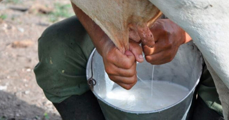 LECHE-VACA