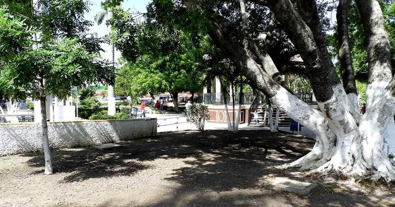 PLAZA-MANTE