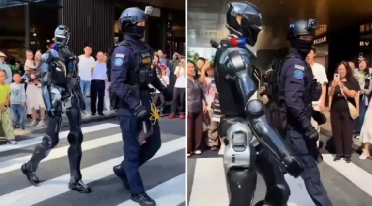polirobot