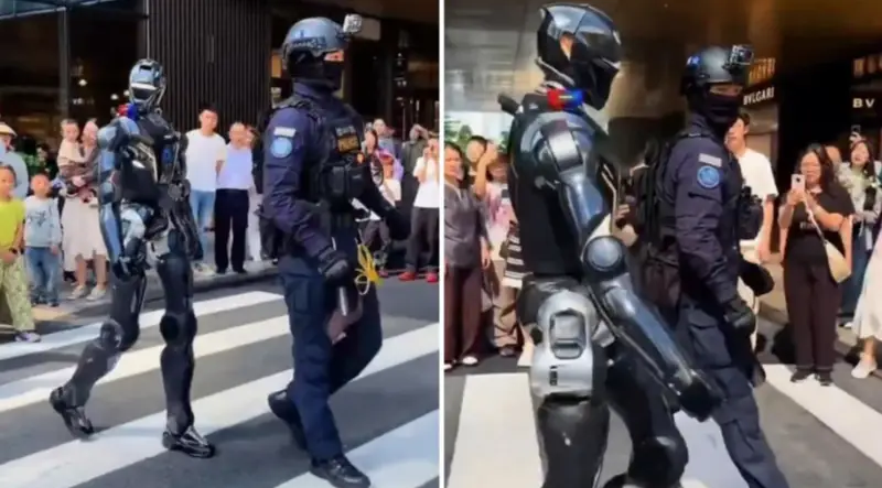 polirobot