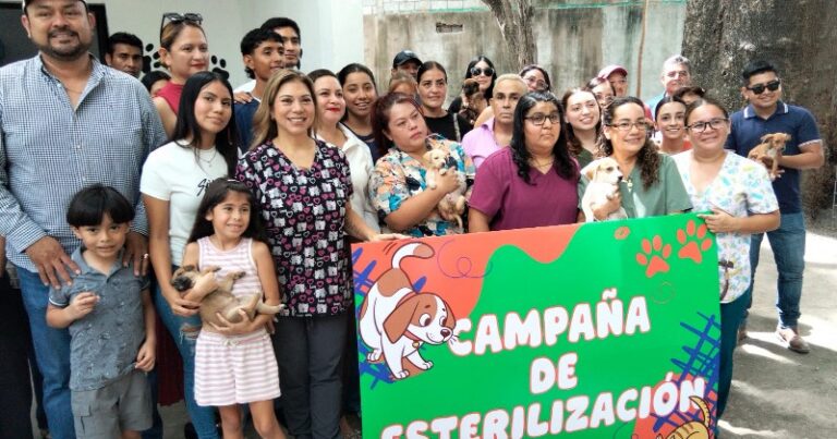 4 DESTACADA
