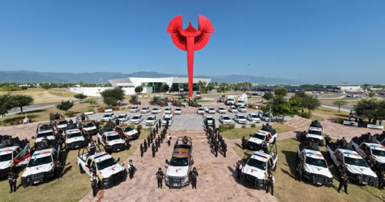 6 DESTACADA