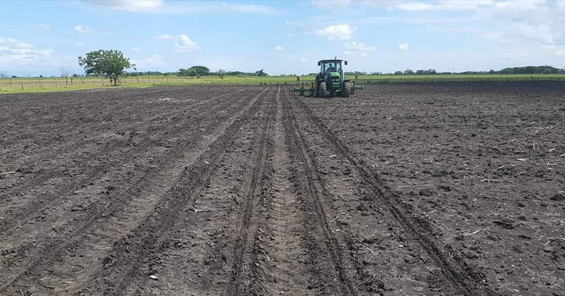 TRABAJO-CAMPO