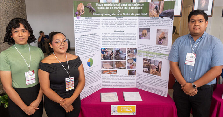 uat-proyectos