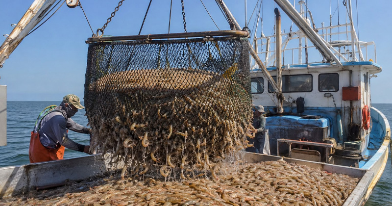 PESCA-TAMAULIPAS