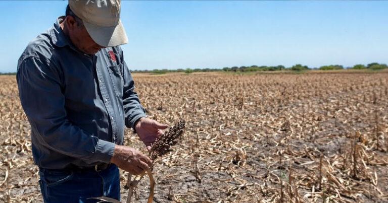 SORGO