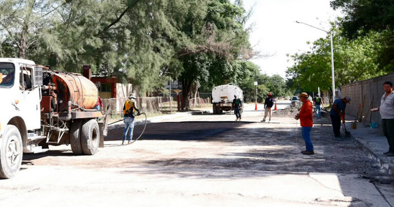 bacheo-mante
