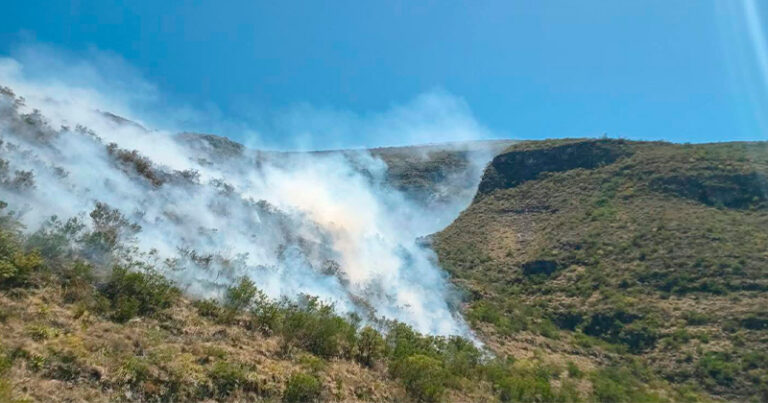 incendio-forestal