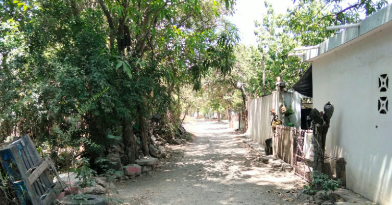 CAMINO