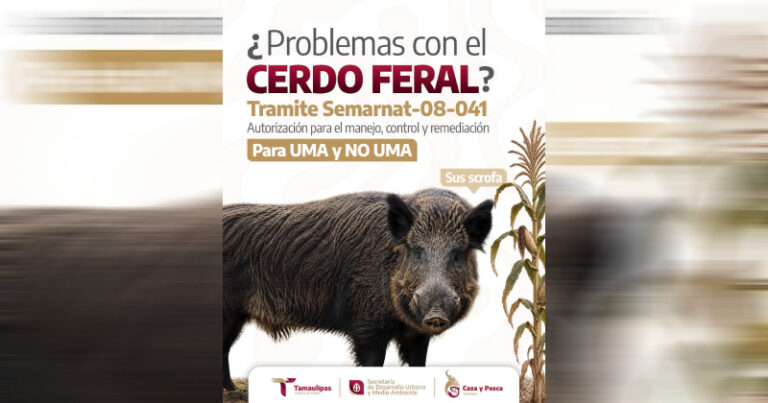CERDO