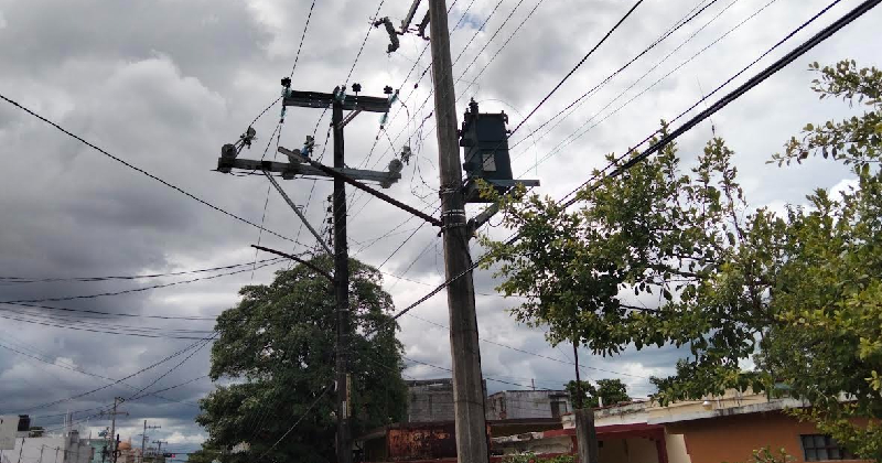 LUZ
