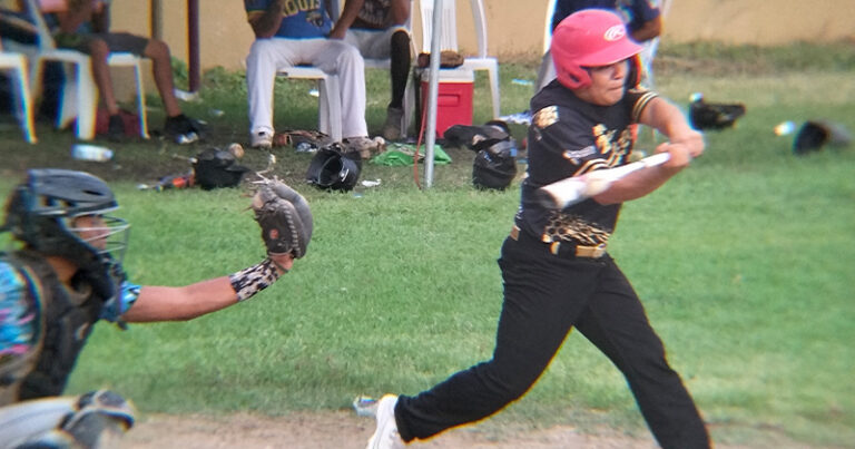 BATSOFT