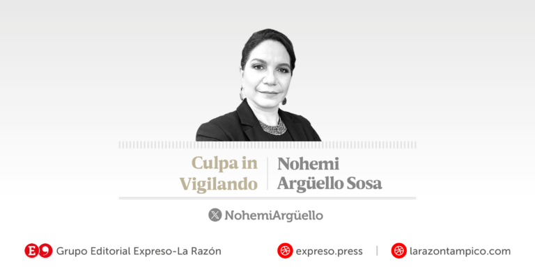 Culpa in vigilando-2026