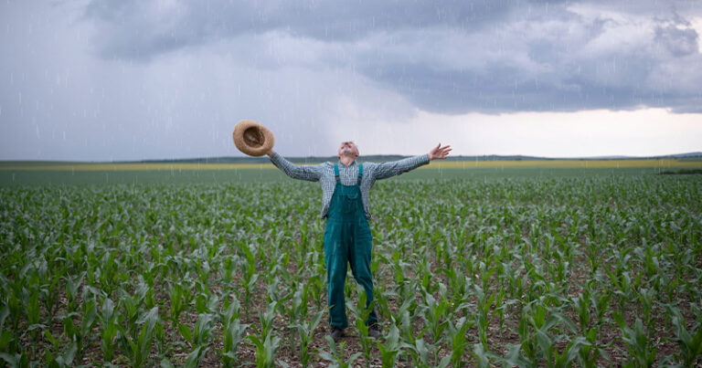 LLUVIAS-CAMPO