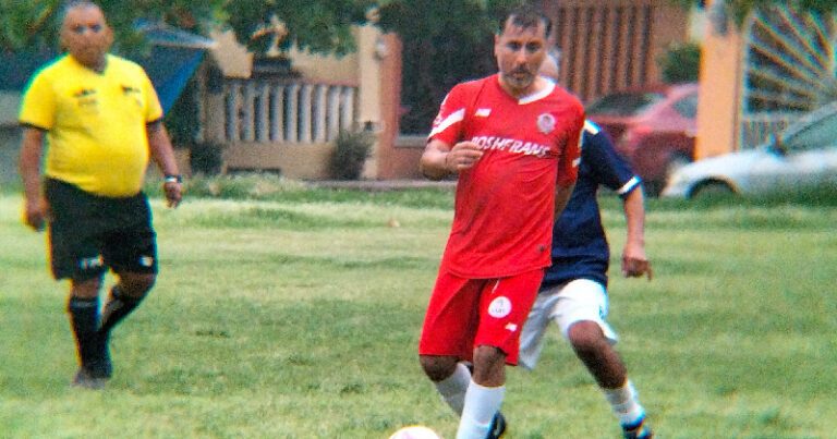 REAL ARBUSTOS