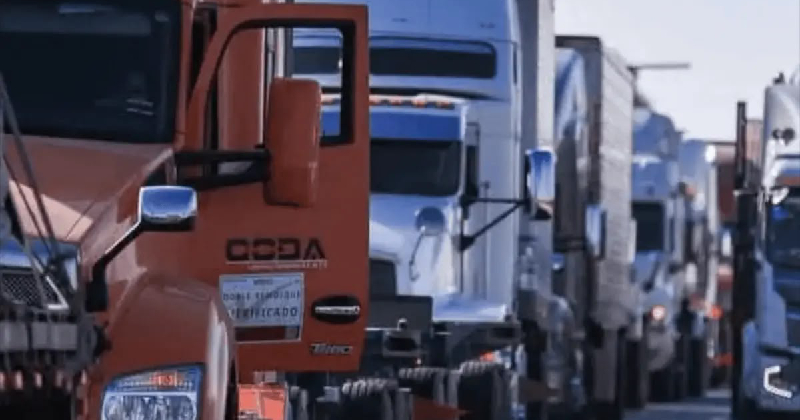 TRANSPORTISTAS