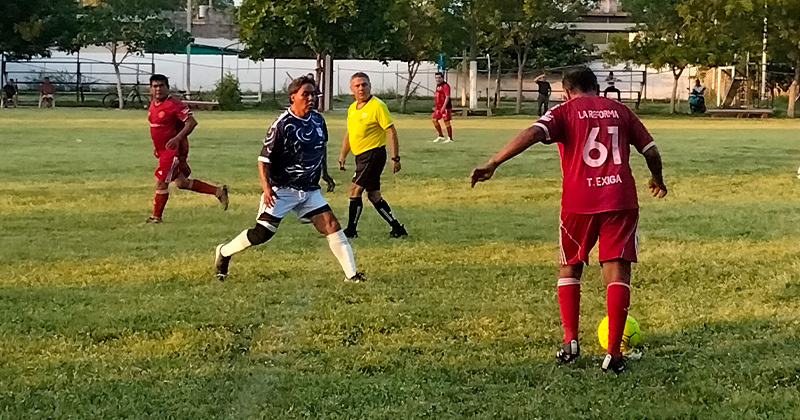 fut-arbustos